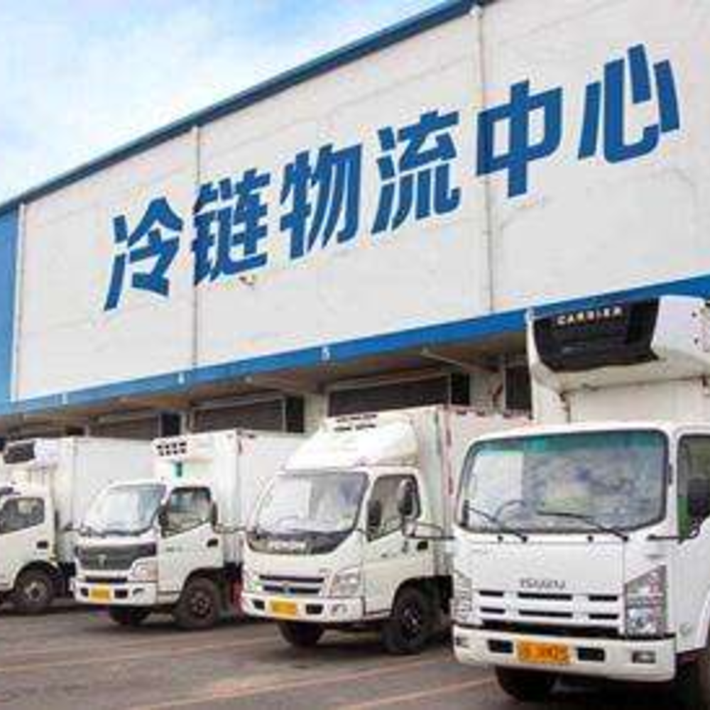 New "air outlet" of cold chain transportation industry